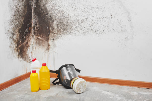 Best Commercial Mold Removal  in Ballston Spa, NY