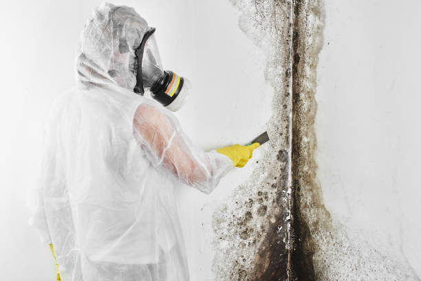 Best Crawl Space Mold Removal  in Ballston Spa, NY