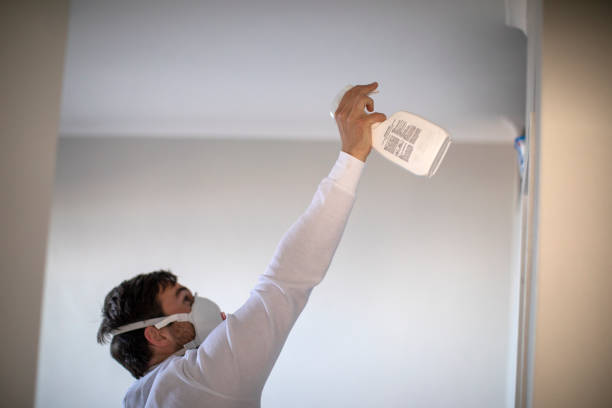 Best Best Mold Removal Companies  in Ballston Spa, NY