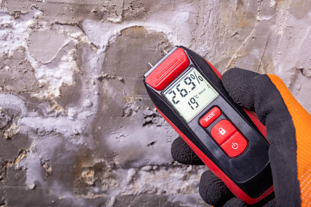 Best Residential Mold Removal  in Ballston Spa, NY