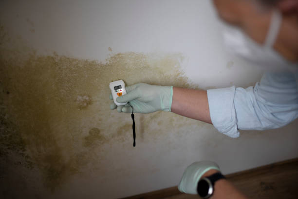 Certified Mold Removal in Ballston Spa, NY