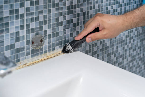 Best Local Mold Removal Service  in Ballston Spa, NY