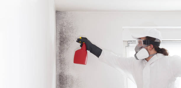 Best Residential Mold Removal  in Ballston Spa, NY
